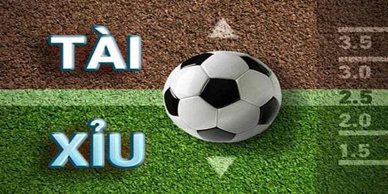 Cách chơi tài xỉu bóng đá đơn giản nhưng lại đầy kịch tính