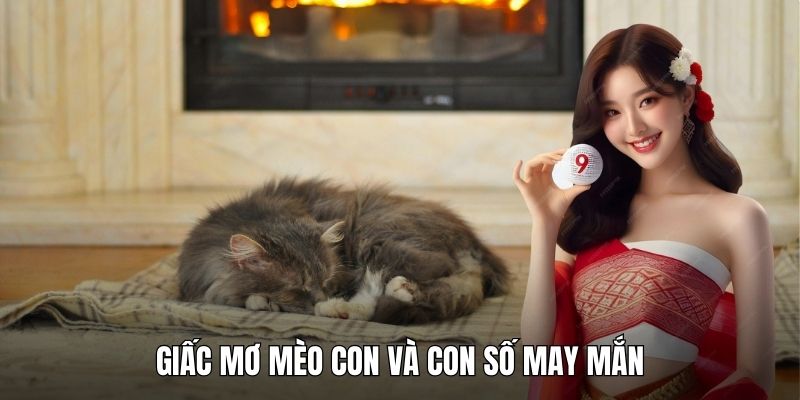 Giấc mơ mèo con và con số may mắn