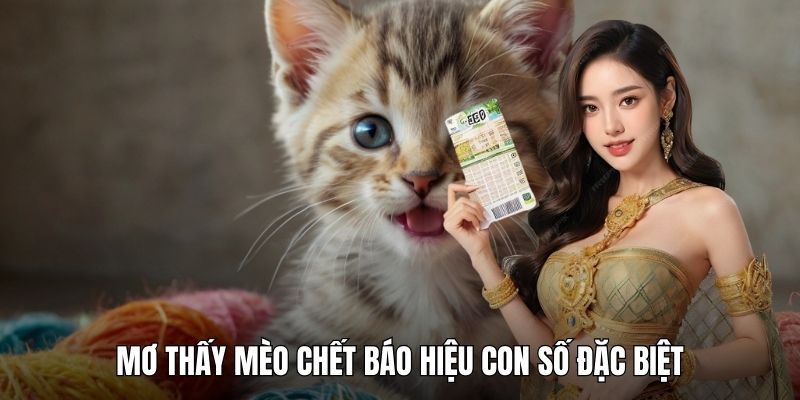 Mơ thấy mèo chết báo hiệu con số đặc biệt
