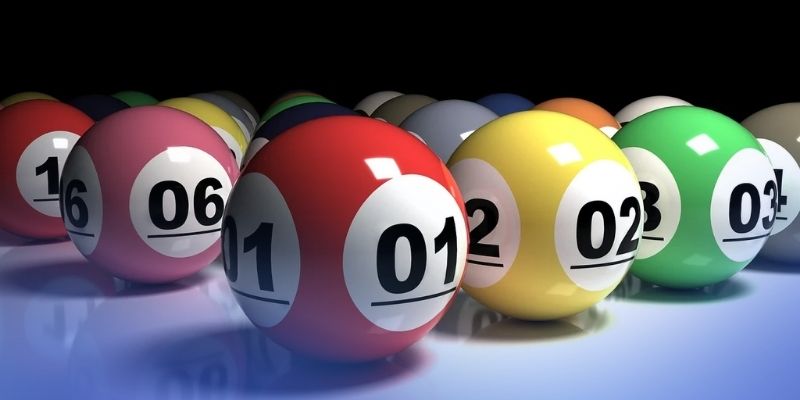 Quy trình dàn đề 28 tách bạch