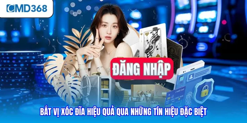 Bắt vị xóc đĩa
