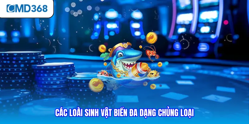 Các loài sinh vật biển đa dạng chủng loại