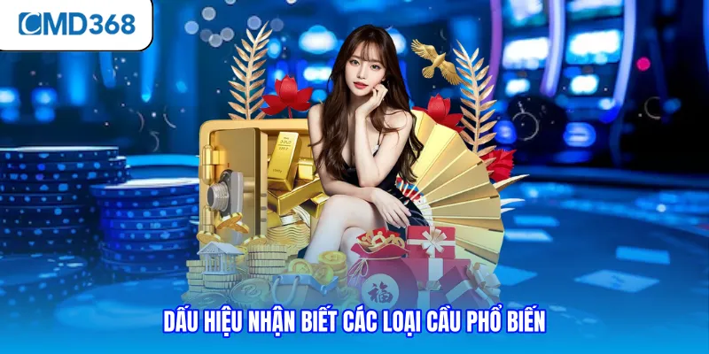 Dấu hiệu nhận biết các loại cầu phổ biến
