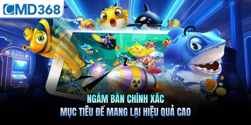 Ngắm bắn chính xác mục tiêu để mang lại hiệu quả cao