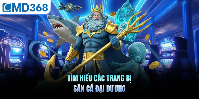 Tìm hiểu các trang bị săn cá đại dương