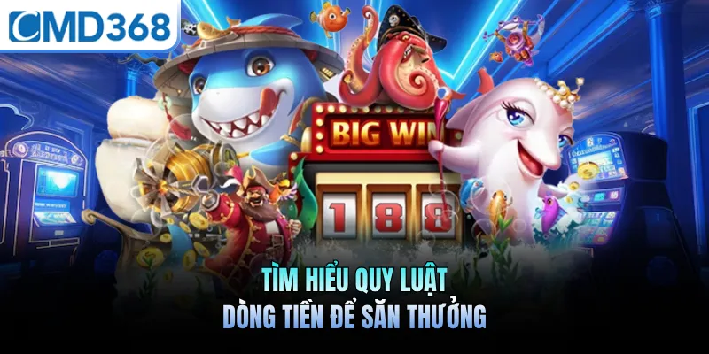 Tìm hiểu quy luật dòng tiền để săn thưởng