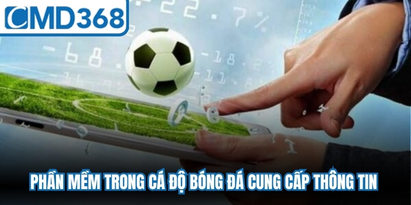 Phần mềm trong cá độ bóng đá cung cấp thông tin và hỗ trợ phân tích chuyên sâu