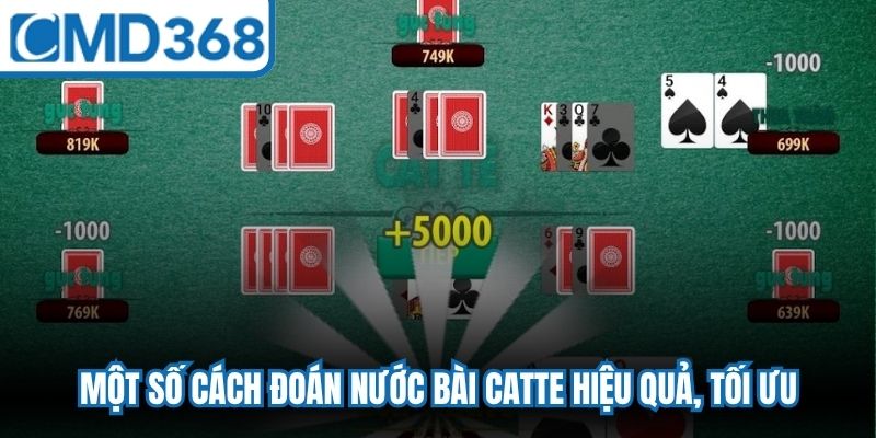 Một số cách đoán nước bài Catte hiệu quả, tối ưu