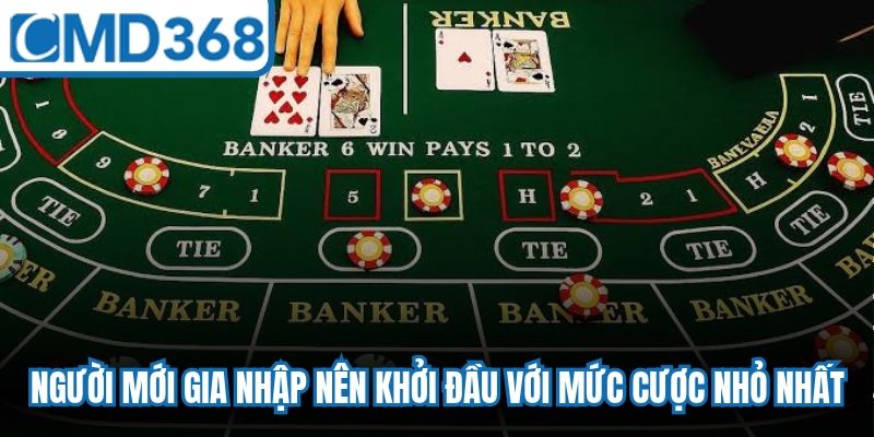Người mới gia nhập nên khởi đầu với mức cược nhỏ nhất