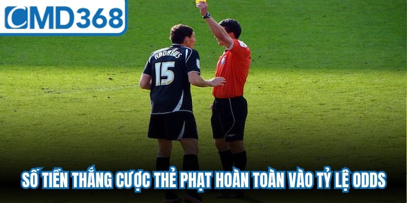 Số tiền thắng cược thẻ phạt hoàn toàn vào tỷ lệ thưởng odds